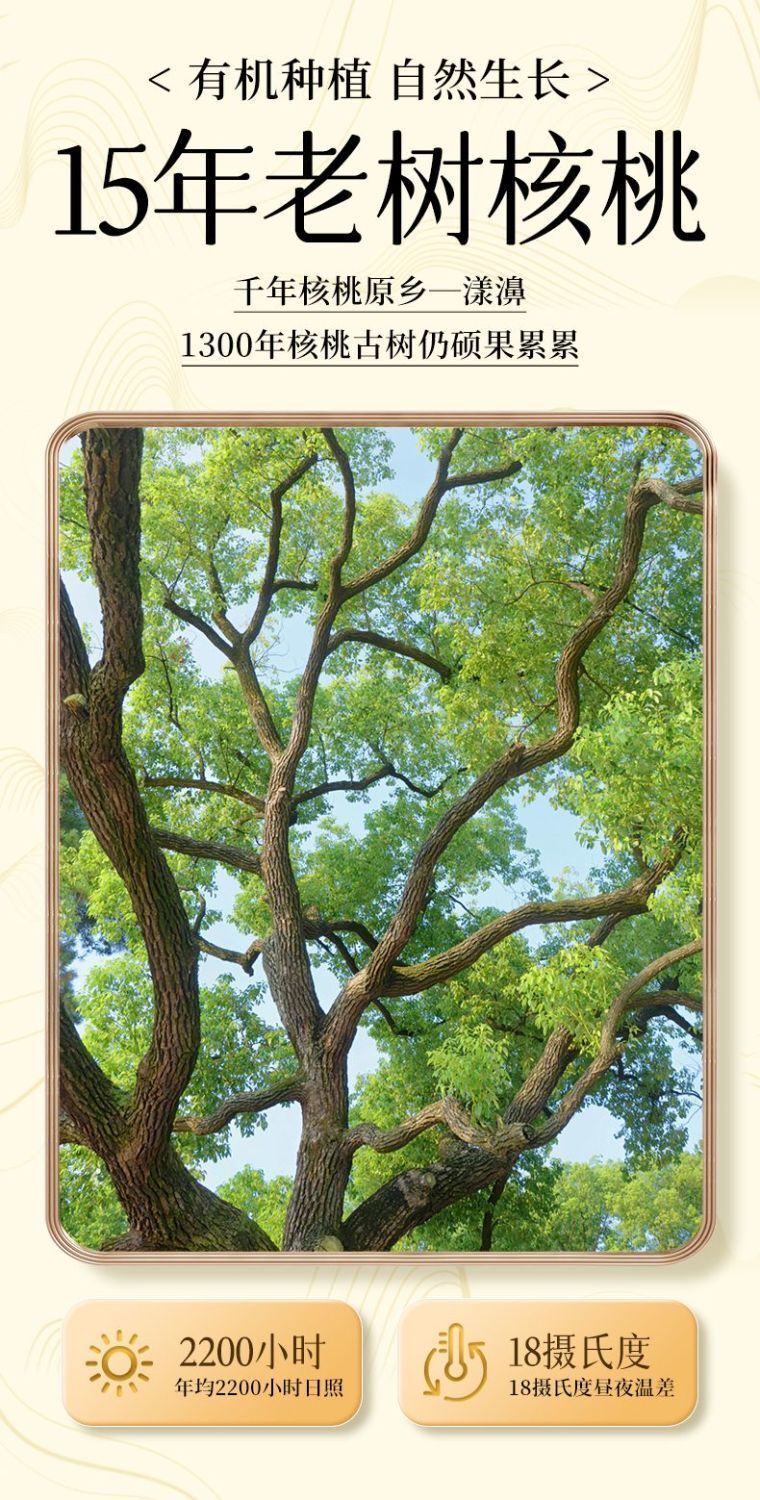 Raw Organic Yunnan Walnuts – Shelled Nuts for Baking, Snacking & Moms