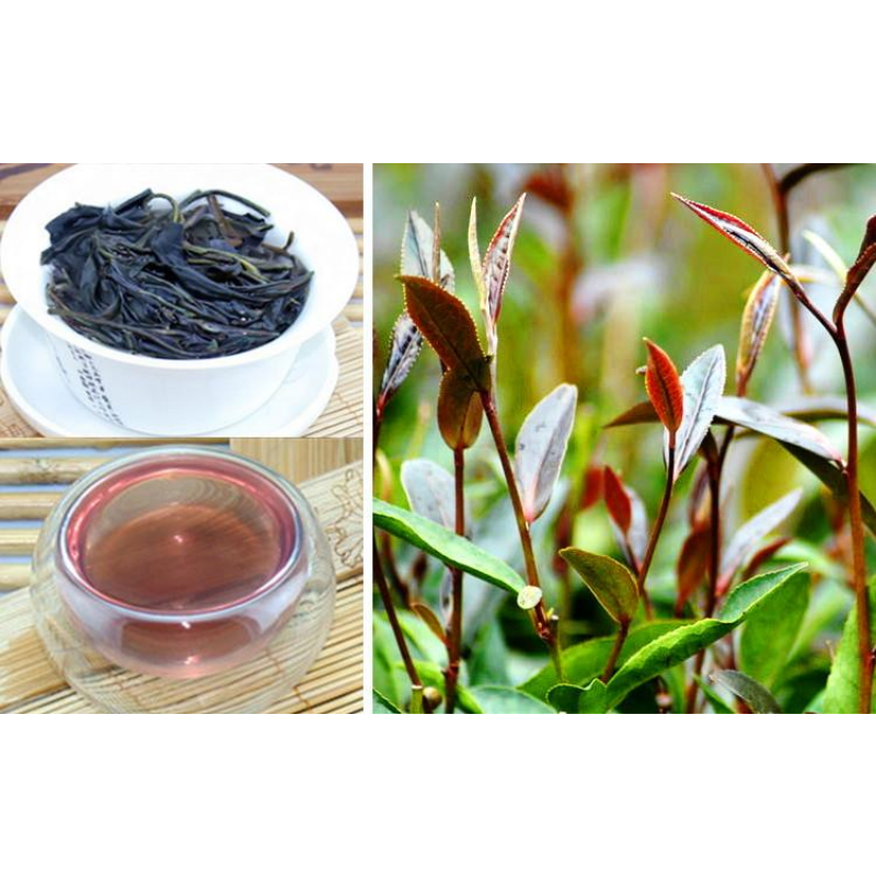 Pu'er Black Tea Weight Loss Healthy Drink 500g/1.1LB Puerh Tea Zijuan Loose Tea