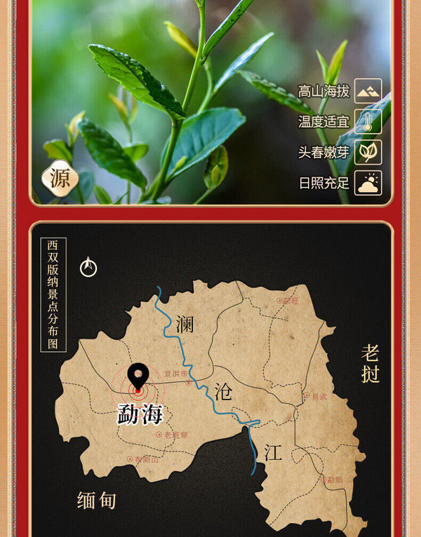 Puerh Ripe Tea Glutinous Fragrance Tea Fossilized Silver Tea Puerh Tea 500g