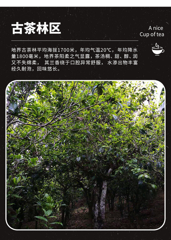 Puerh Tea Ripe Tea Old Tea Head Aged Dry Storage Pearl Tea Head Lao Cha Tou 500g
