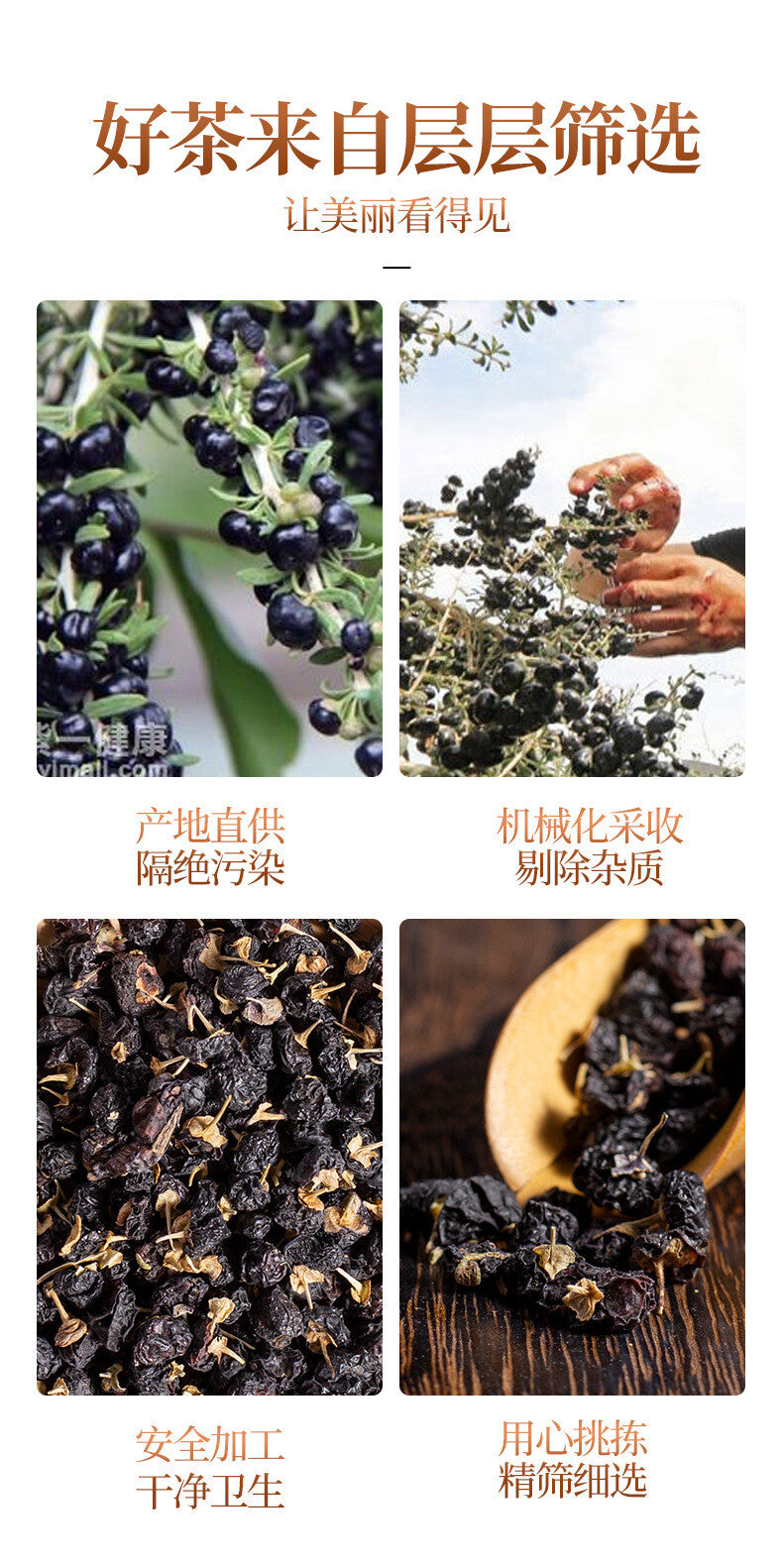 Natural Qinghai Black Wolfberry 100g Organic Black Goji Berry Health Herbal Tea