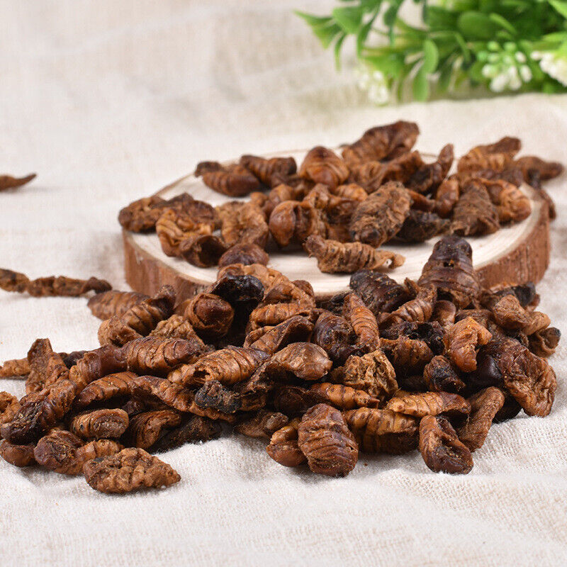 HelloYoung Dried Cicada Chrysalis Dried Silkworm Chrysalis Chinese Herbs 500g/1.1lb