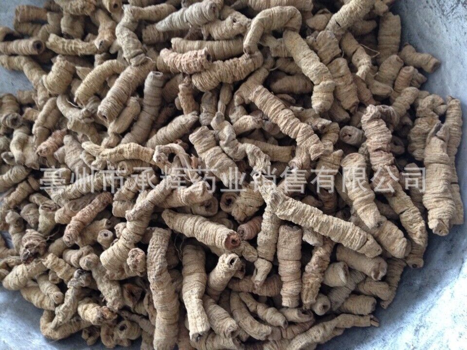 HelloYoung New Baji Tian Chinese Herbs Dried Baji 500g