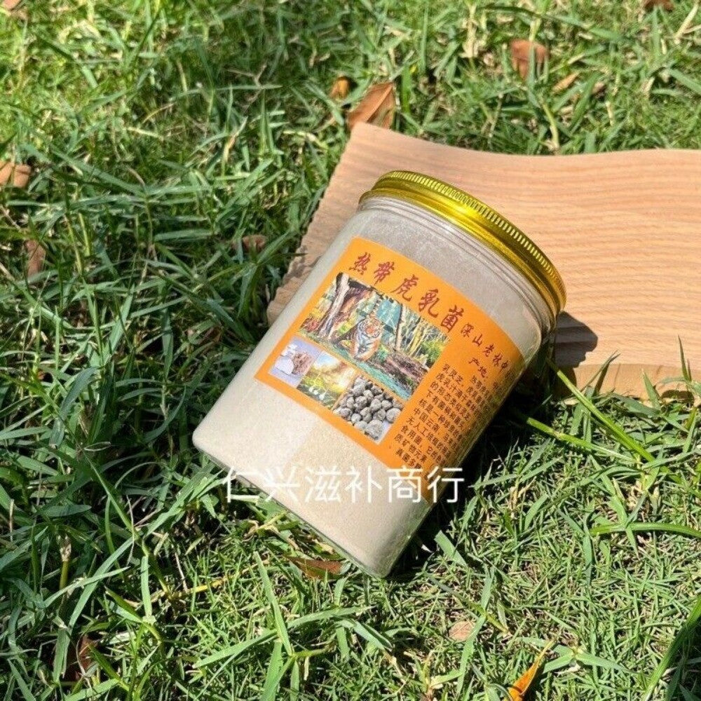 Tiger Milk Mushroom Powder 250g Pure Authentic Premium Natural Organic