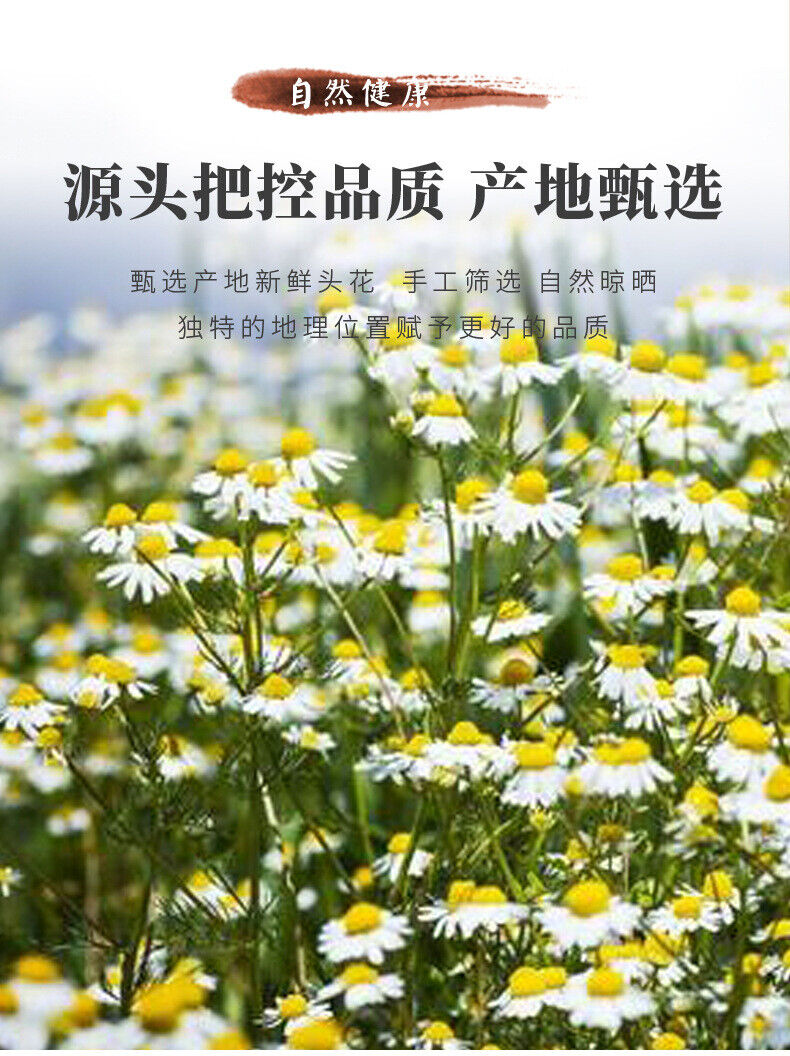 Chamomile & Chrysanthemum Tea with Cassia Seeds | Herbal Wellness