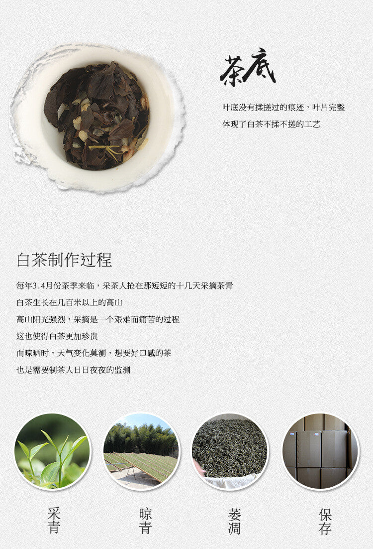150g Organic Sunlight Clear White Tea Jasmine White Tea Top Fuding White Tea