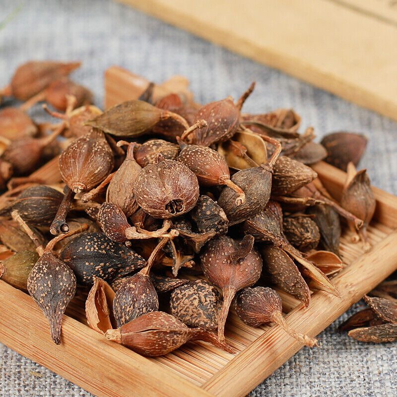 HelloYoung 250g /500g High Quality Featured Forsythia Lianqiao Health Top Tea 连翘