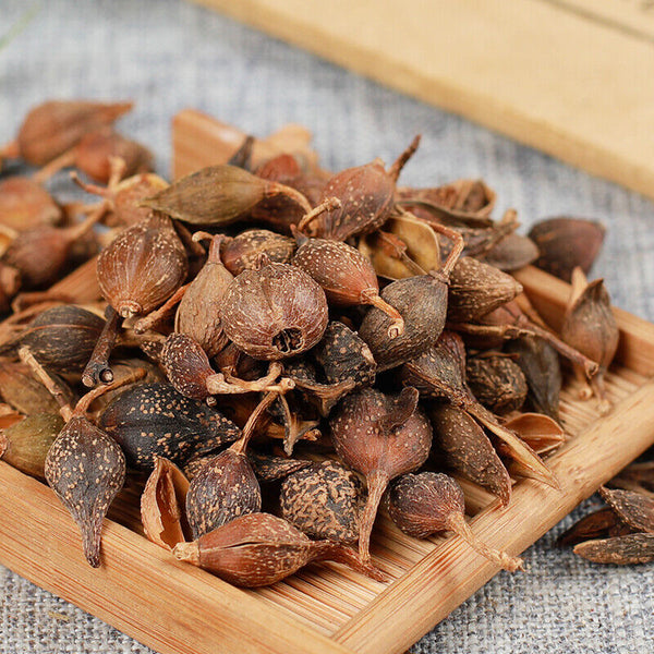 HelloYoung 250g /500g High Quality Featured Forsythia Lianqiao Health Top Tea 连翘