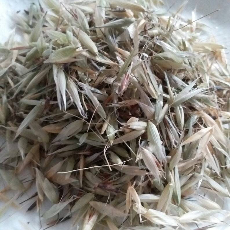 High Quality Organic Dried Herba Avena Fatua, Herb of Wild Oat, Yan Mai Cao Secondary image