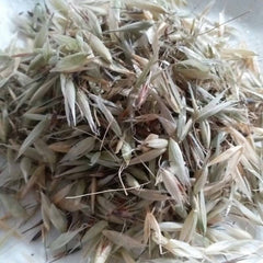 High Quality Organic Dried Herba Avena Fatua, Herb of Wild Oat, Yan Mai Cao