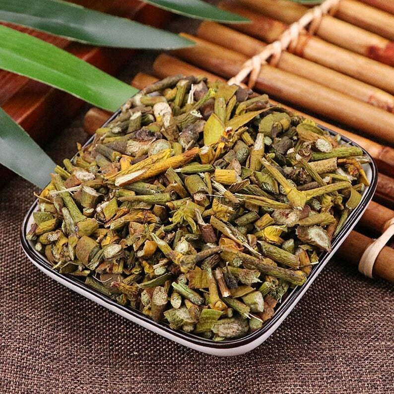Organic Dried Mistletoe Taxillus Chinensis Chinese Taxillus Twig, Herba Taxilli Main image