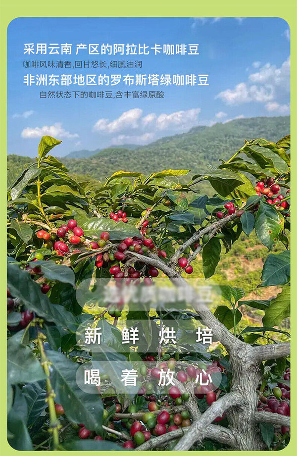 Green Coffee Instant Coffee Powder Pure Black Coffee Arabica Bean Coffee