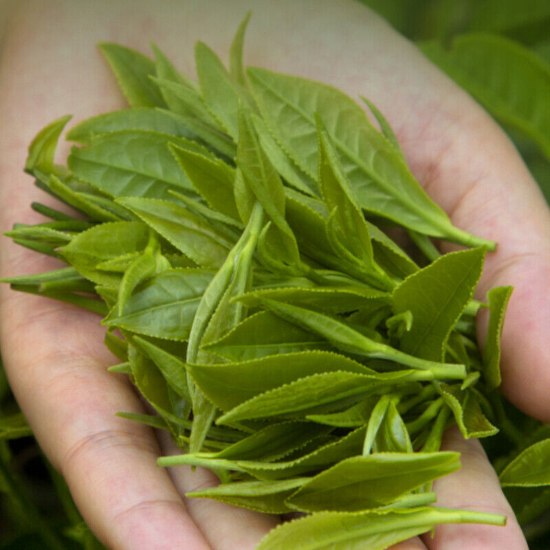 HelloYoung 250g Maofeng Green Tea Huangshan High Mountain Top-Grade Green Tea Gift Package Secondary image