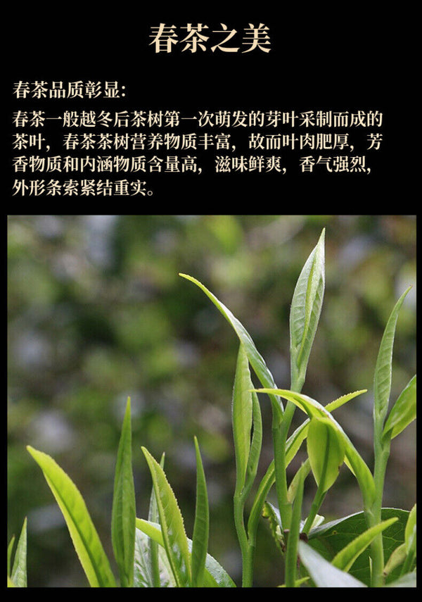 Brown Head Spring Big Tree Pu'er Tea Raw Tea Seven Seed Puerh Cake Tea 357g