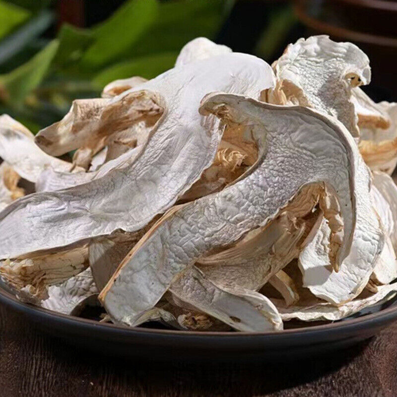 Yunnan Snow Mountain Matsutake Slices - Dried Wild Mushrooms, Bulk Main image
