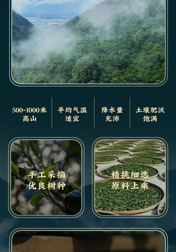 Yunnan Puerh Tea Raw Tea Old Banzhang Ancient Tree Puerh Raw Tea 357g