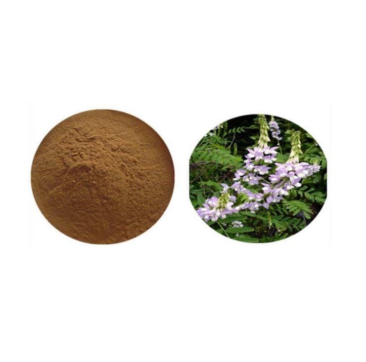 100g High quality pure natural Goat's Rue Extract Powder 10:1 Instant Brewing