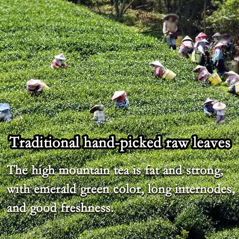 Jin Xuan Milk Oolong Tea Delicate and Silky Smooth  Stabilizes Blood Sugar 250g
