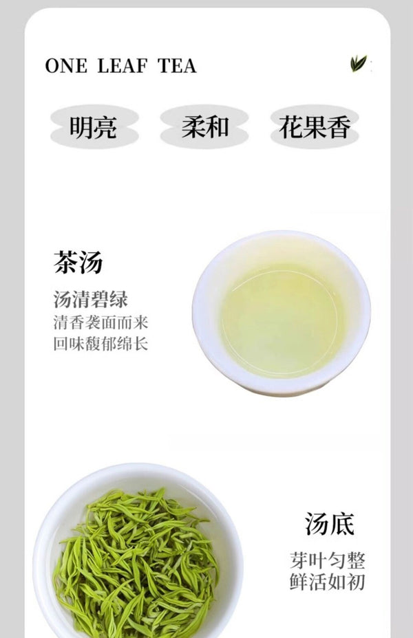 2025 Mingqian Biluochun Green Tea Premium Fragrant Small Can Personal Gift