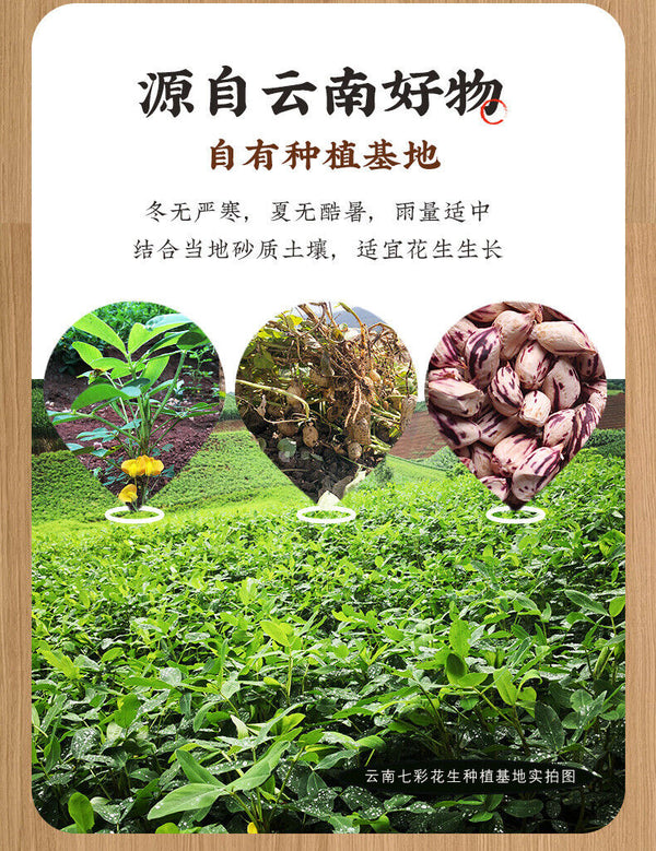 Year-End Nut Gift Box – Mixed Nuts & Dried Fruits for Group Buy & Sharing