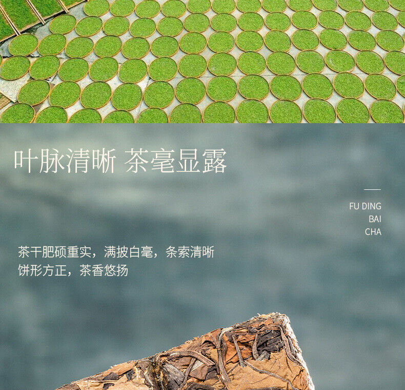 Fuding Old White Tea Shou-mee White Tea Small Square Gift Box Small Tea Cake