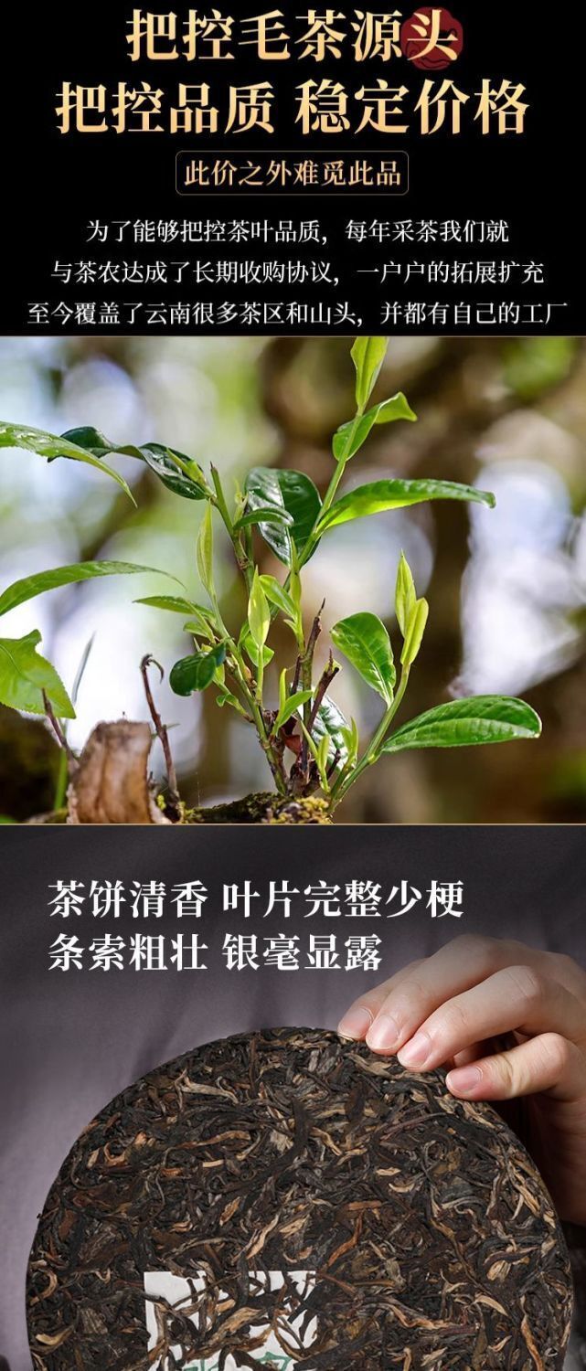 Iceland Puerh Tea Raw Tea Yunnan Menghu Cake Tea Ancient Tree Spring Tea 357g