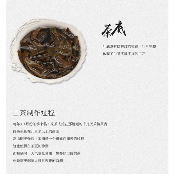 Alpine Sun Date White Tea Fuding White Tea 100g*3 Shou Mei Tea Cake