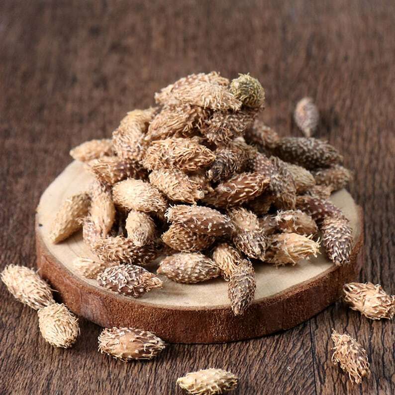 Dried Siberian Cocklour Fruit, Fructus Xanthii, Xanthium Sibiricum, Cang Er Zi Main image