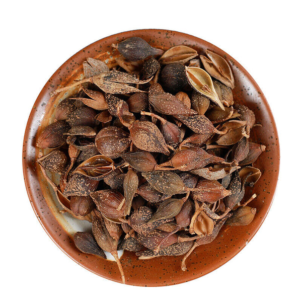 HelloYoung 250g /500g High Quality Featured Forsythia Lianqiao Health Top Tea 连翘