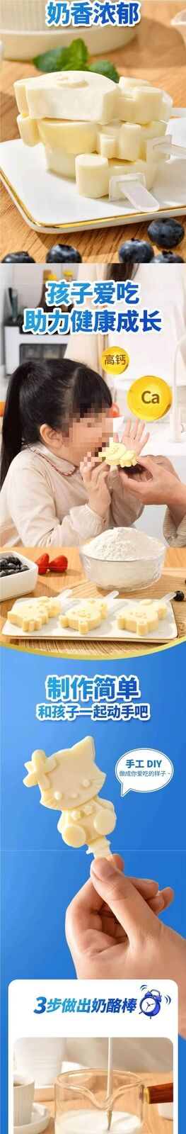 High Calcium Snack Kit for Kids Homemade Cheese Stick Powder