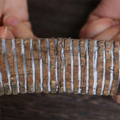 500g Organic Top Quality Dried Eucommia Bark | Du Zhong | Eucommia Ulmoides | 杜仲