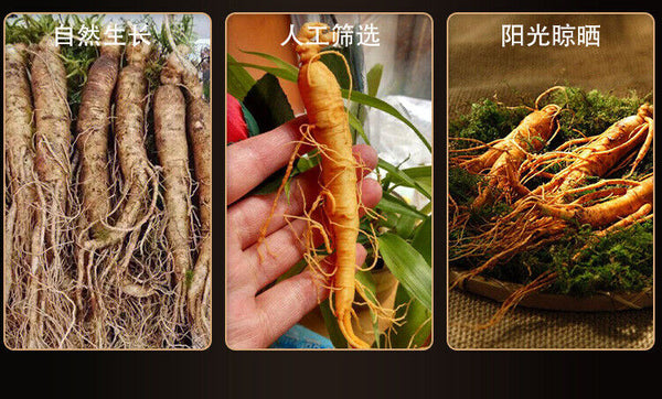 One ginseng chrysanthemum goji berry tea individually packag Repeatable brewing