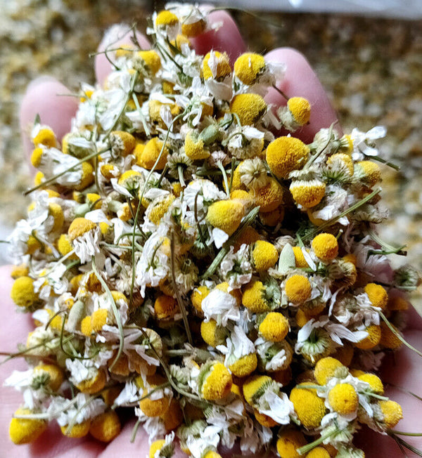 HelloYoung Bulk chamomile chamomile dried flowers chamomile petals flower foam 17.6oz