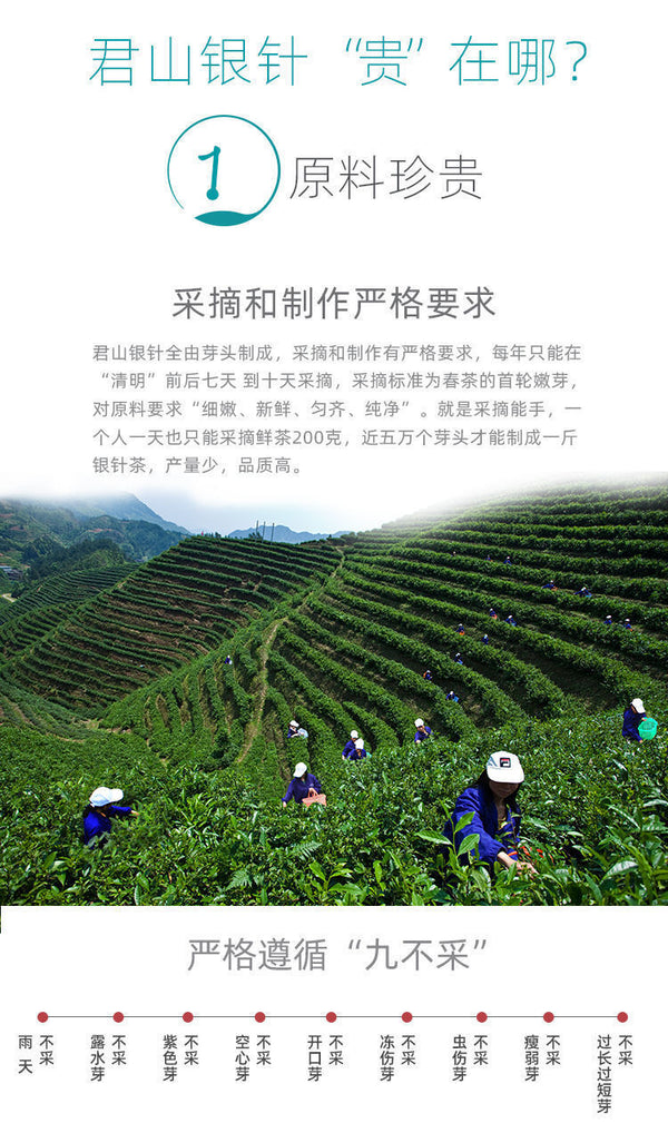 Junshan Silver Needle Pre-ming Dynasty New Tea Yellow Bud Tea Premium Tin 50g
