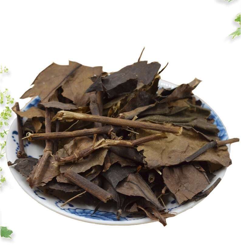 8.8oz Glabrous Sarcandra Herb, Herba Sarcandrae, Dried Herbs Zhong Jie Feng 肿节风