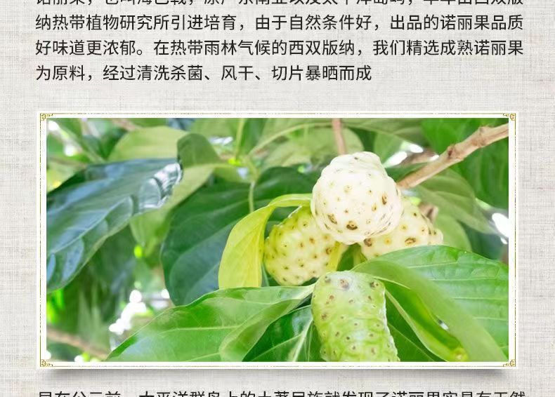 50 Grams Fresh Hainan Noni Fresh Fruit Dried 50g Morinda Citrifolia Herbal Tea