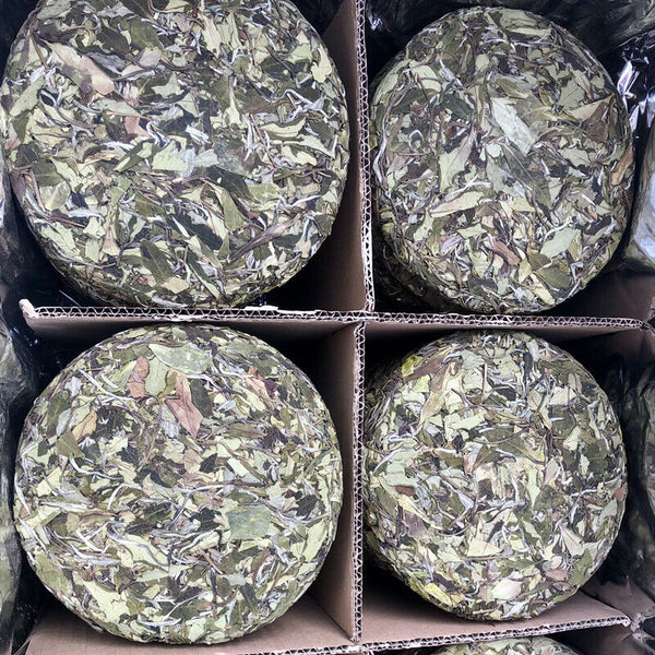 Mountain Sun Tea Cake White Peony Tea Spring Tea Cake 350g White Tea Barren