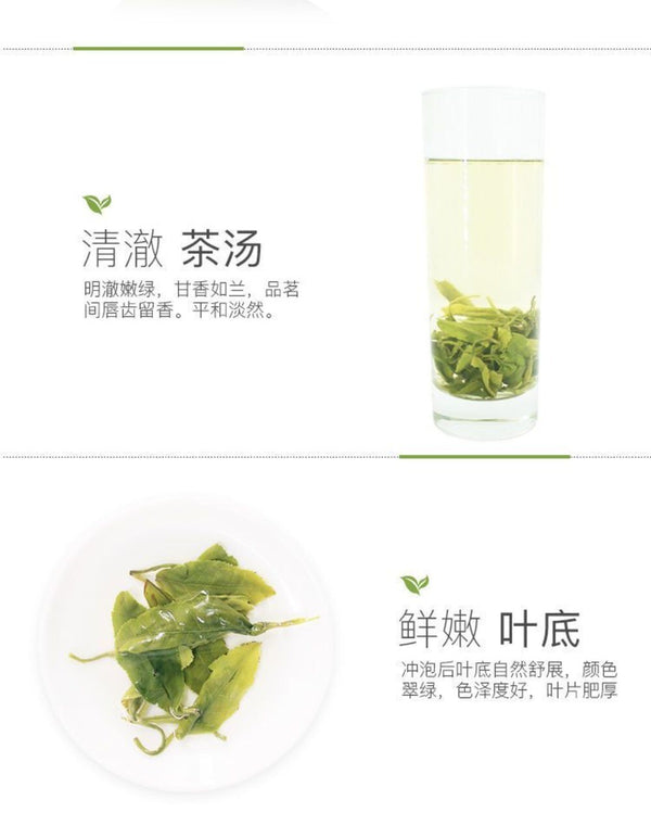 Top Grade Biluochun 2025 Pre Rain Spring Tea Light Aroma