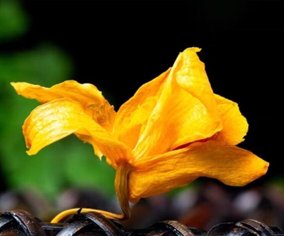 Dried Dendrobium officinale candidum Flower Tea Detox Tea hypoglycemic 500g