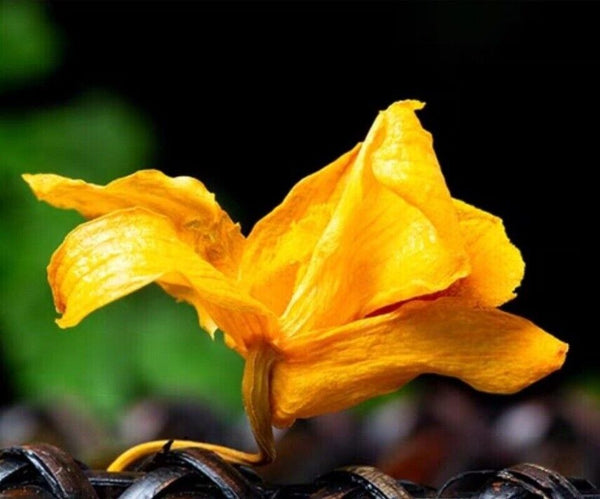 Dried Dendrobium officinale candidum Flower Tea Detox Tea hypoglycemic 500g