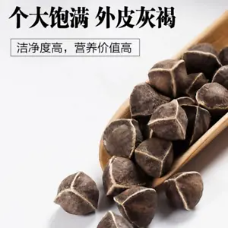 HelloYoung Moringa seeds 250 g Heathy Herbal Tea Lamuzi Herbs Healthy Drink  Chicory seeds
