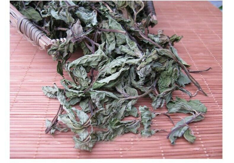 HelloYoung Premium Cool Mint Tea Herbal Tea Reduce Liver Fire Mint Leaves Wild Mint tea 50g