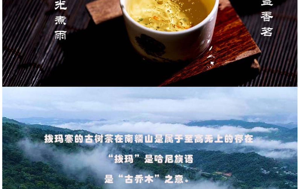 HelloYoung Yunnan Tea Nannuo Mountain Pema Ancient Tree First Spring Pu'er Raw Tea 100g