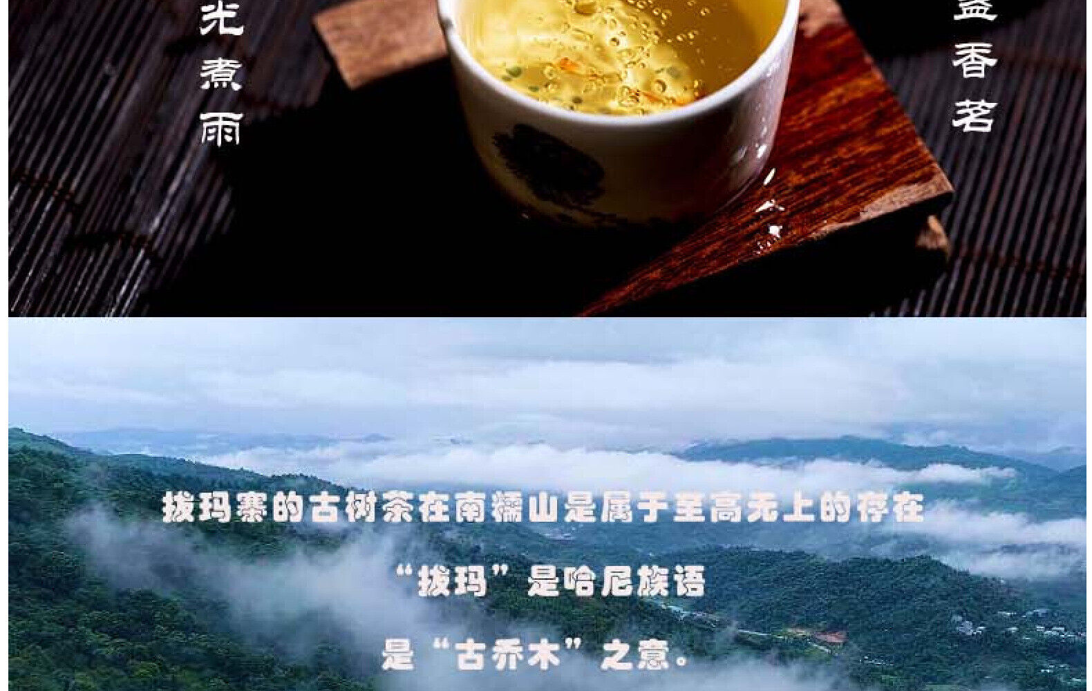 HelloYoung Yunnan Tea Nannuo Mountain Pema Ancient Tree First Spring Pu'er Raw Tea 100g