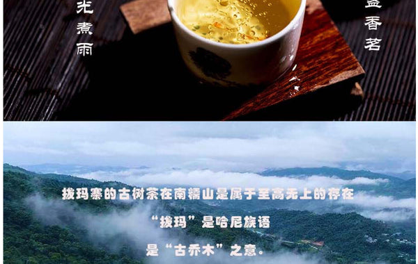 HelloYoung Yunnan Tea Nannuo Mountain Pema Ancient Tree First Spring Pu'er Raw Tea 100g