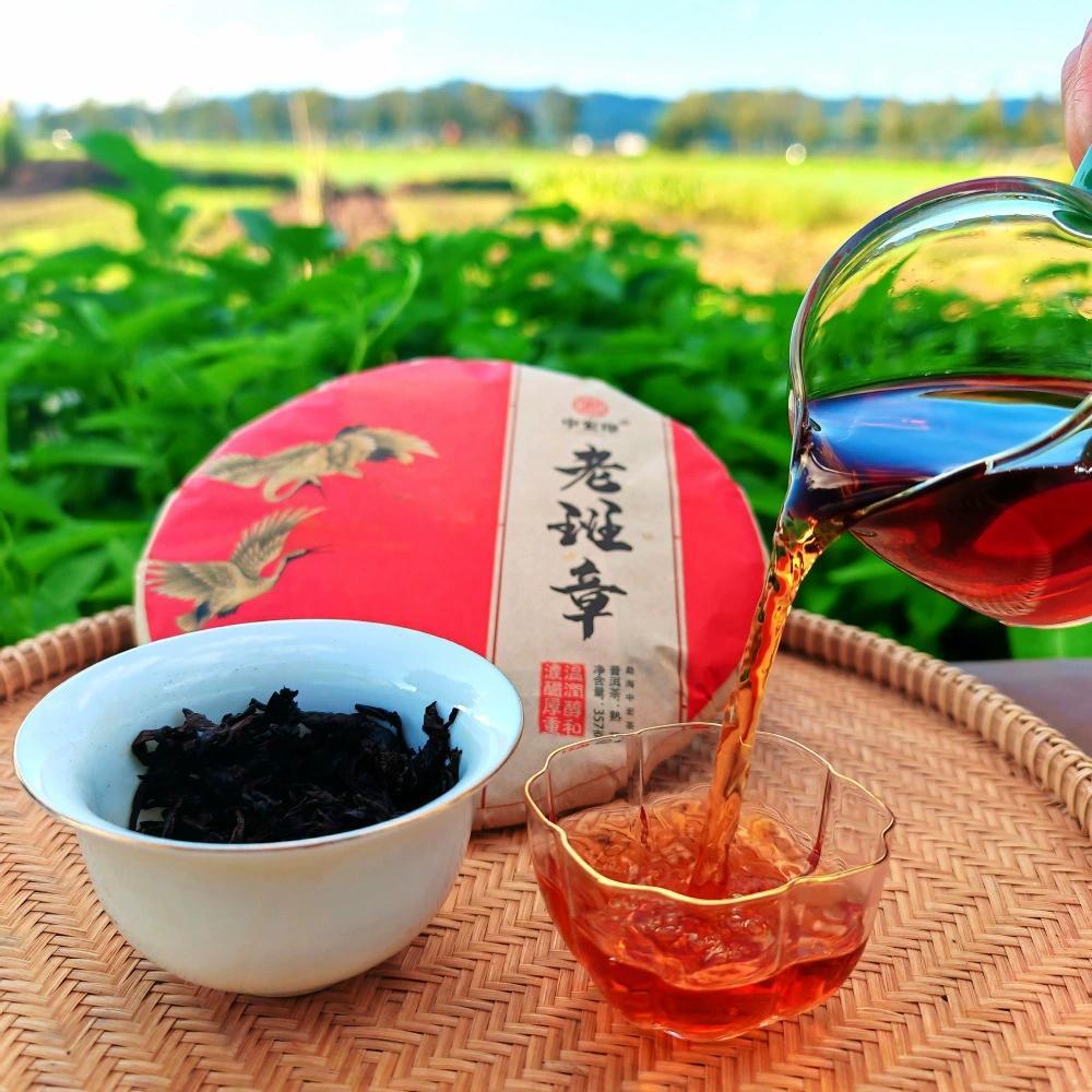 Premium Grade Yunnan Menghai Laobanzhang Pu erh tea, aged tree, ripe cake tea Main image