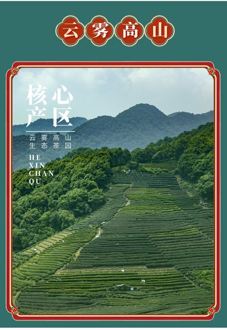 Authentic Taiwan Origin High Mountain Oolong Tea Strong Aroma Frozen Top Oolong