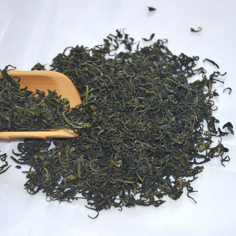 HelloYoung Rizhao Green Tea New Tea Strong Fragrance and Brewing Resistance 500g/1.1lb