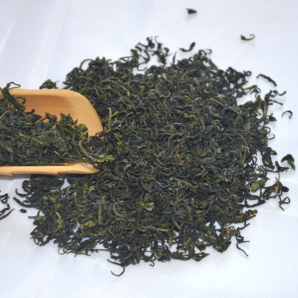 HelloYoung Rizhao Green Tea New Tea Strong Fragrance and Brewing Resistance 500g/1.1lb