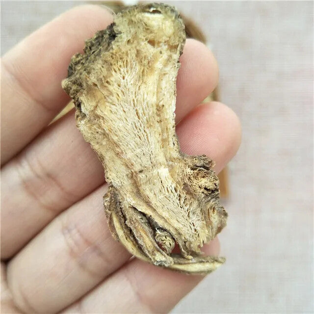 Dang Gui Cheap Price Angelica Sinensis Dried Radix Angelicae Sinensis Root